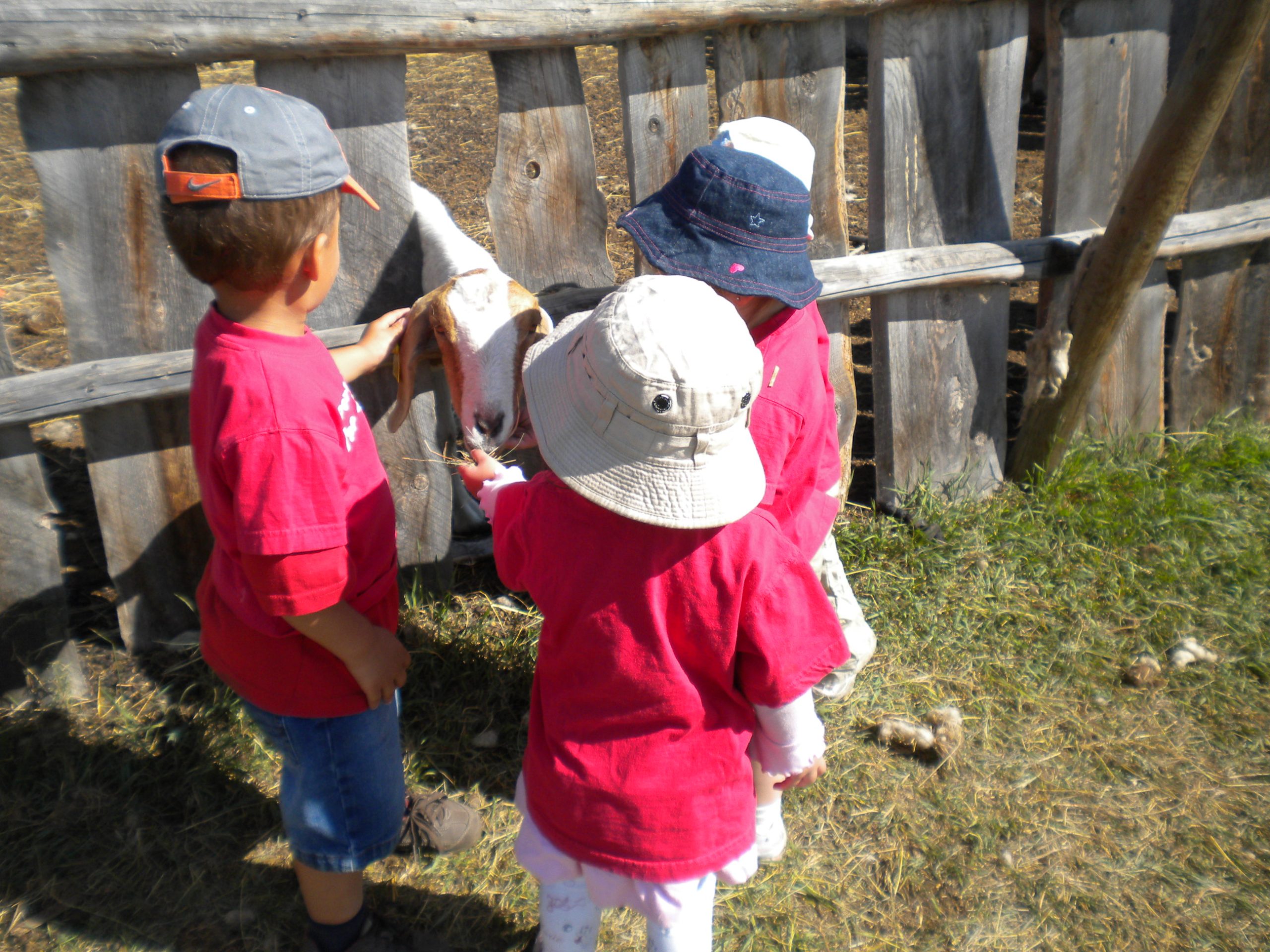 Daycare children enjoying an outing